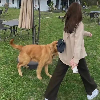 不要伤害我的小孩